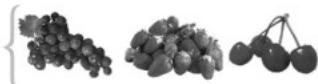 FAGOR FG135 - Frozen fruitsorice - 1