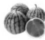FAGOR FG135 - Peaux dures ou non comestibles - 2