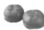 FAGOR FG135 - Graines - 3