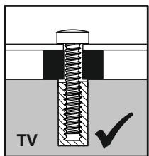 AVF FL602 - No Spacers Pas de Séparateur Sin espaciadores - 7