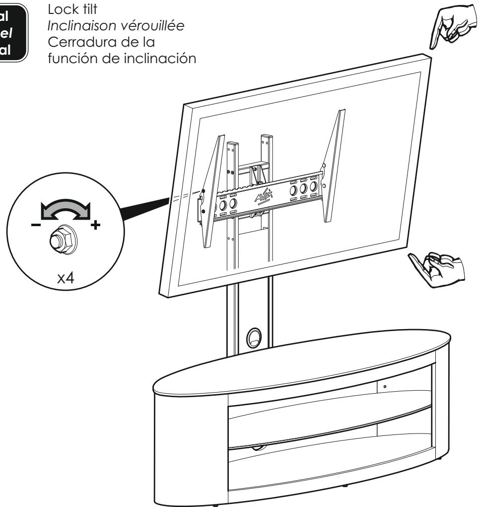 AVF FL602 - IMPORTANT / IMPORTANTES / IMPORTANTE - 1