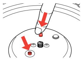 SEB P4202308 - Avant la cuisson - 2