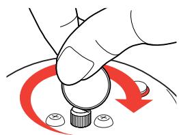 SEB P4202308 - Avant la cuisson - 1