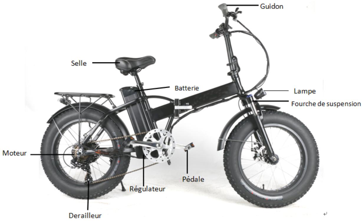 VELOBECANE NC - Présentation du VAE - 1
