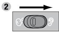 TERRAILLON THERMO COLOR - Auriculaire - 2