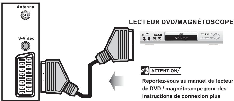 PROLINE LD1920 - Utilisation de l'entrée SCART pour magnétoscope/lecteur DVD - 1