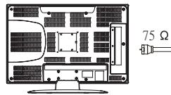 PROLINE LD1920 - Connexion à l'antenne - 2
