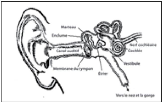 MONSTER CASWM MH TRB IEC - FRANÇAIS - 1