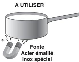 SCHOLTES CI 96IA ANTH - Conseils d'utilisation de l'appareil - 1