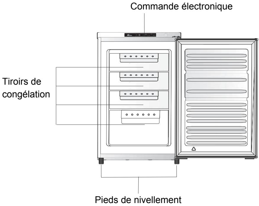 TRIOMPH THCTE9SASW - Avant de mettre au rebut votre apparéil - 1
