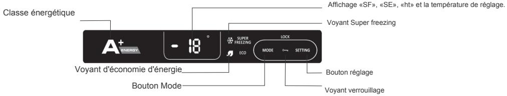 TRIOMPH THCTE9SASW - Utilisation quotidienne - 1