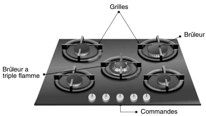NEFF T62S25SONOIR - Ainsi se présente votre table de cuisson : - 3