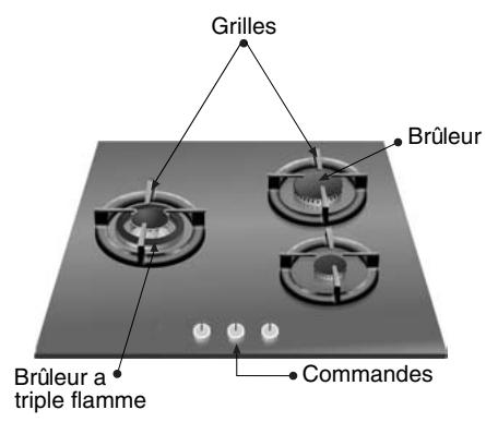 NEFF T62S25SONOIR - Ainsi se présente votre table de cuisson : - 2