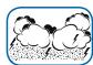 OTIO WHS-6061 - Alerte orage : - 1