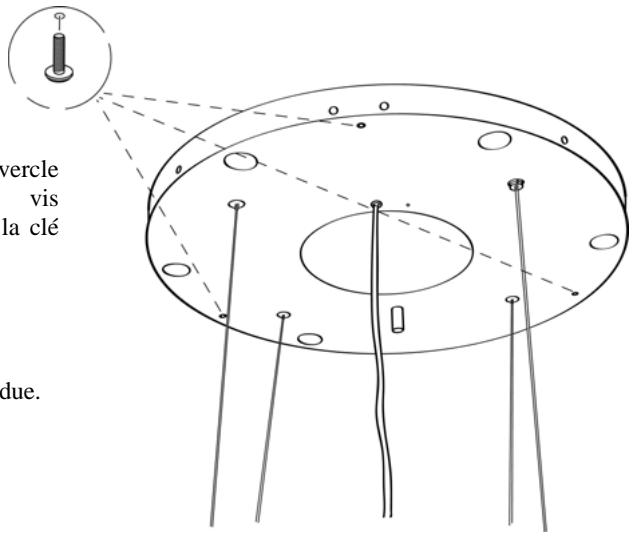 ROBLIN LUSTRE KALEIDOS NOIR - CONNEXION CABLES HOTTE-PLAQUE - 9