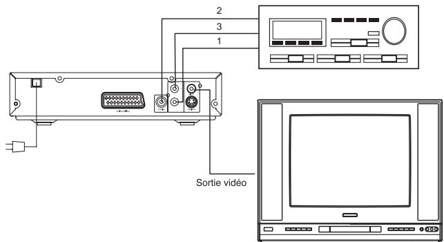 PROLINE DVD 1255 X ARGENT - Connexion à un amplificateur - 1