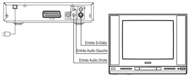 PROLINE DVD 1255 X ARGENT - Connexion via le cable S-Viséo - 1