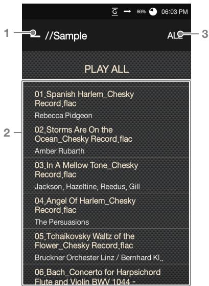 ASTELL KERN AK120 ii - Listening to Music - 1