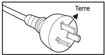 OPTOMAR H100 - Notes sur le cordon d'alimentation secteur - 1