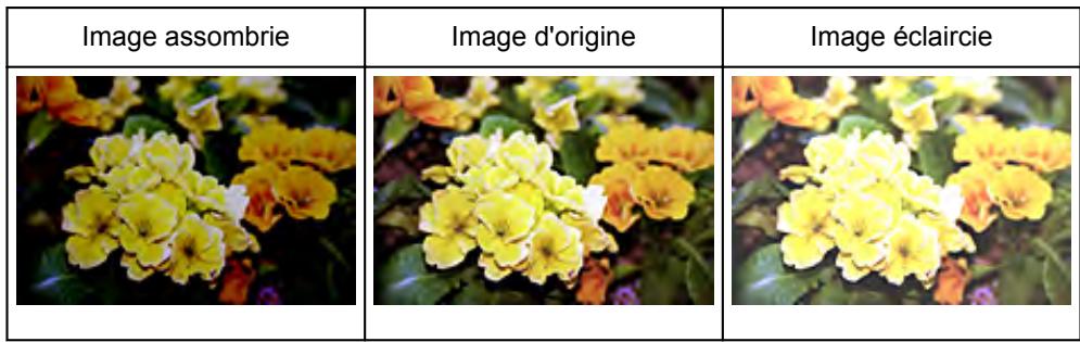 CANON MX535 - Luminosité - 2
