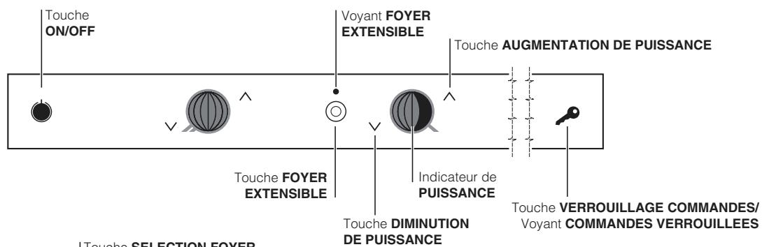 SCHOLTES TVL642 - Tableau de bord - 2