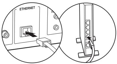 ONKYO 6130 - Branchement du câble ethernet - 1