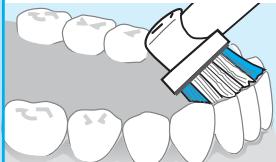 ORAL-B OC 19.555 - insides - 1