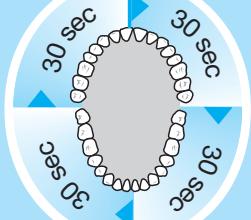 ORAL-B OC 19.555 - tops - 2