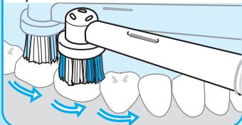 ORAL-B OC 19.555 - tops - 1