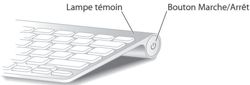 APPLE MC812 - À propos duvoyant lumineux - 1
