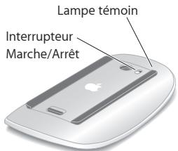 APPLE MC812 - À propos duvoyant lumineux - 1
