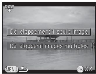 PENTAX K-500 - Développement d'une image RAW - 1