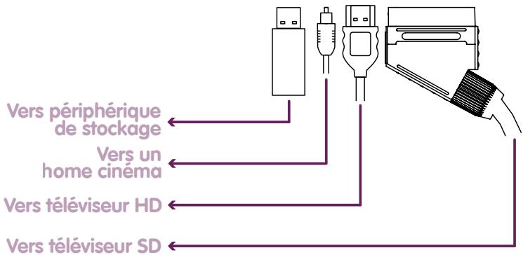 NELI PACK N2+N2N FRANSAT - Face arrête - 2