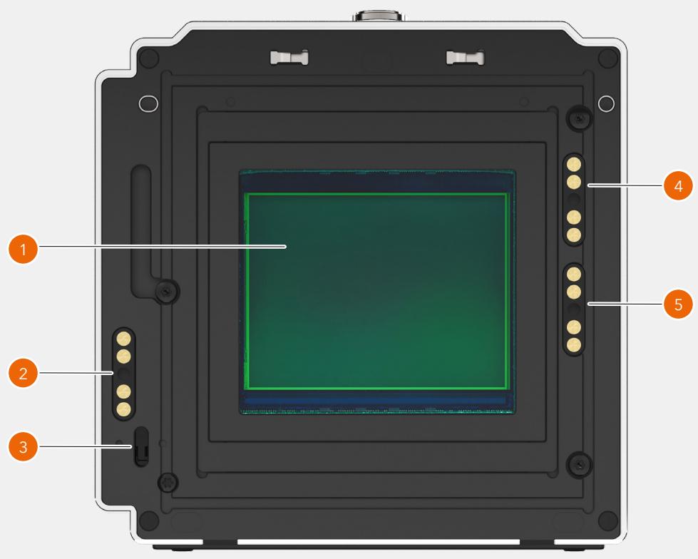 HASSELBLAD 907X 50C - Base CFV - 1