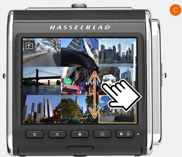HASSELBLAD 907X 50C - RECHERCHER DES IMAGES - 9-VUE - 3