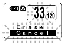 MARANTZ WS 300M - Effacement d'un fichier à la fois - 2