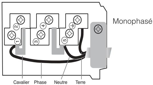SCHOLTES TEM 748 L - Raccordement monophasé - 2