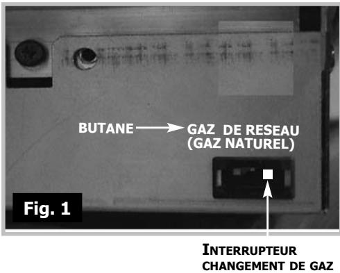 DE DIETRICH DTI 421 XL1 - Changement de gaz (suite) - 1