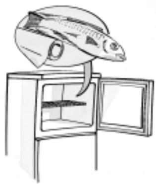 LADEN DP148 BL - Production de glaçons - 1