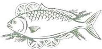 THOMSON CTH326WH - Poisson et fruits de mer - 1