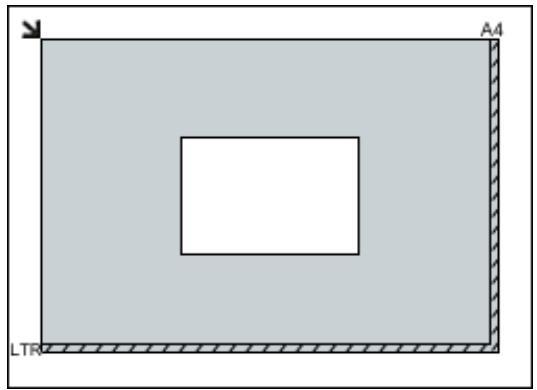 CANON G2501 - Pour les magazines, journaux ou documents - 5