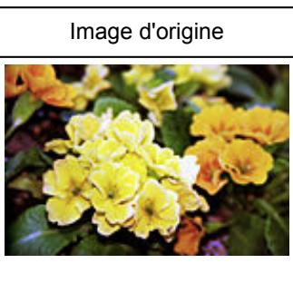 CANON G2501 - Saturation - 3