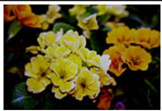 CANON G2501 - Luminosité - 2