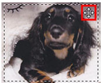 CANON G2501 - Ajustement d'un cadre de découpe - 2