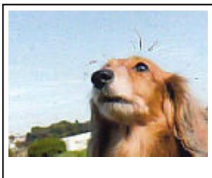 CANON G2501 - Réduction de l'aspect granuleux - 1