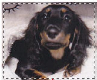 CANON G2501 - Types de cadres de découpe - 2