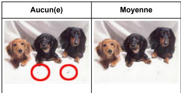 CANON G2501 - Réduction de la poussière et des imperfections - 1