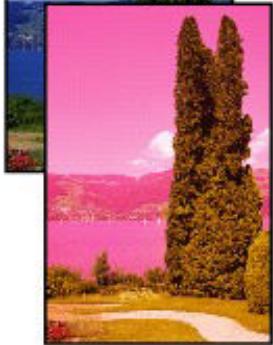 CANON G2501 - Le papier est vierge/L'impression est floue/Les couleurs ne sont pas fidèles/Des traces blanches apparaisent - 3