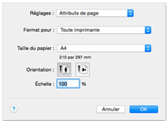 CANON G2501 - Boîte de dialogue Configuration de la page - 1