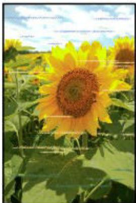 CANON G2501 - Couleurs inégales ou striées - 4